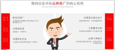 騰鴿信息 一站式網絡營銷外包與商務咨詢服務，驅動企業數字化增長